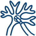 Cholangioskopia